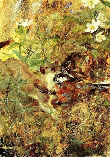 bruno liljefors Weasel with Chaffinch China oil painting art